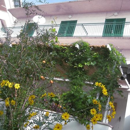 Apartman Sulic Podgora Esterno foto